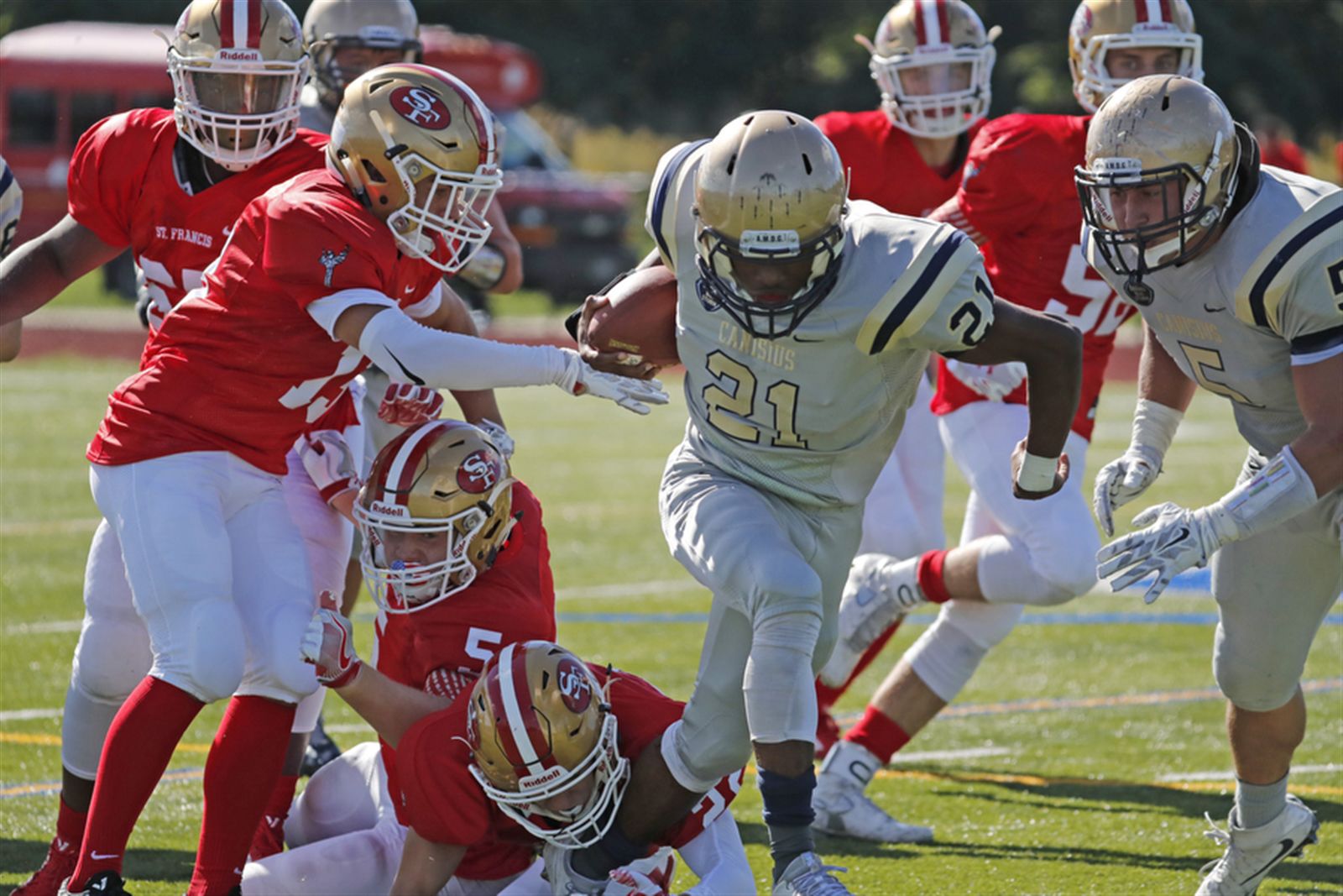 Canisius 55, St. Francis 13